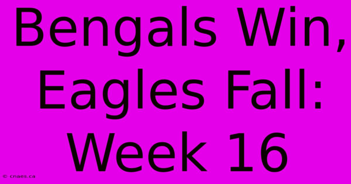 Bengals Win, Eagles Fall: Week 16