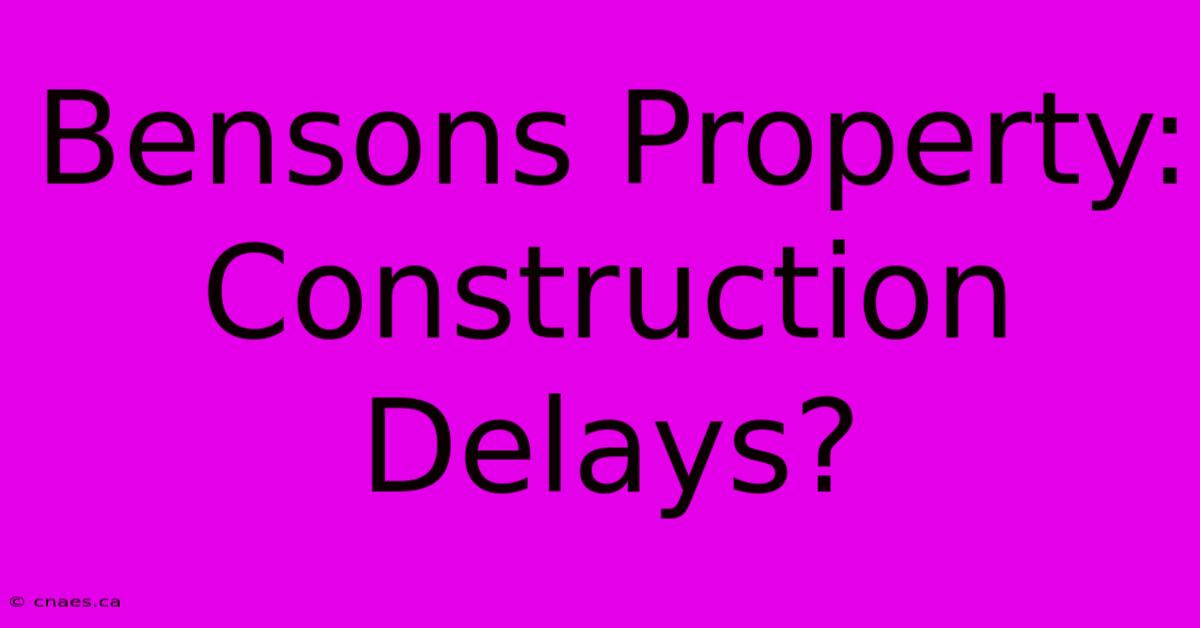 Bensons Property: Construction Delays?