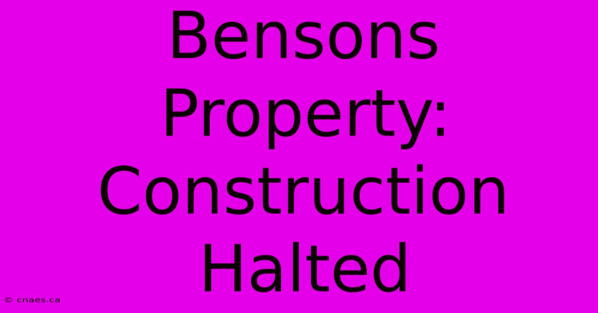 Bensons Property: Construction Halted