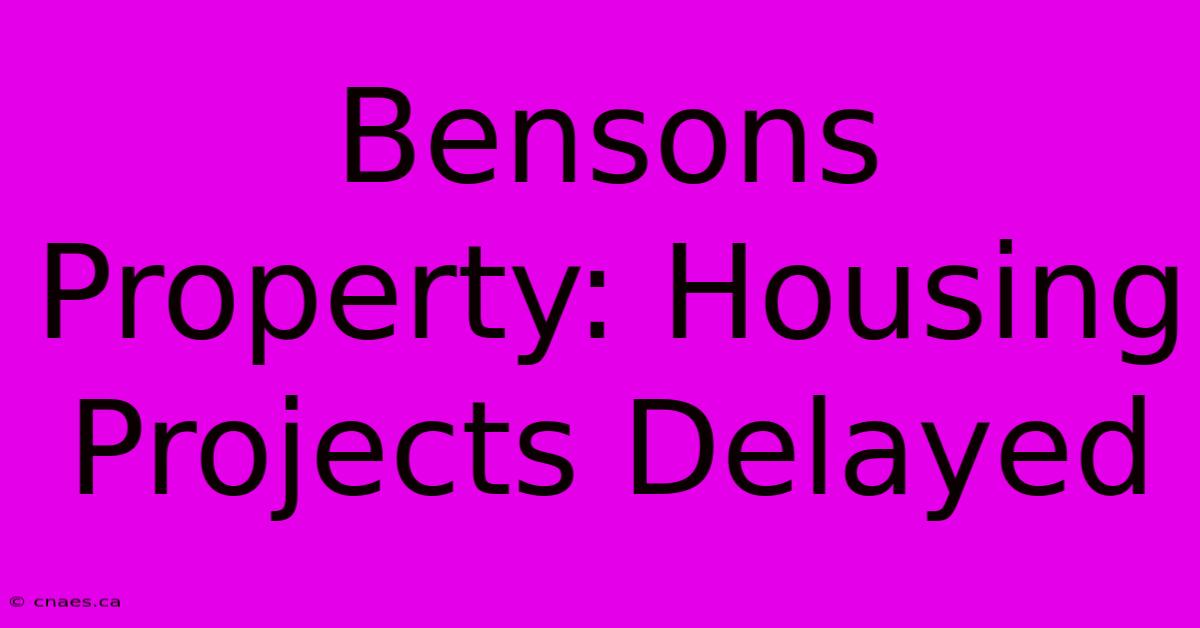 Bensons Property: Housing Projects Delayed