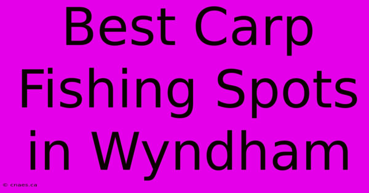 Best Carp Fishing Spots In Wyndham