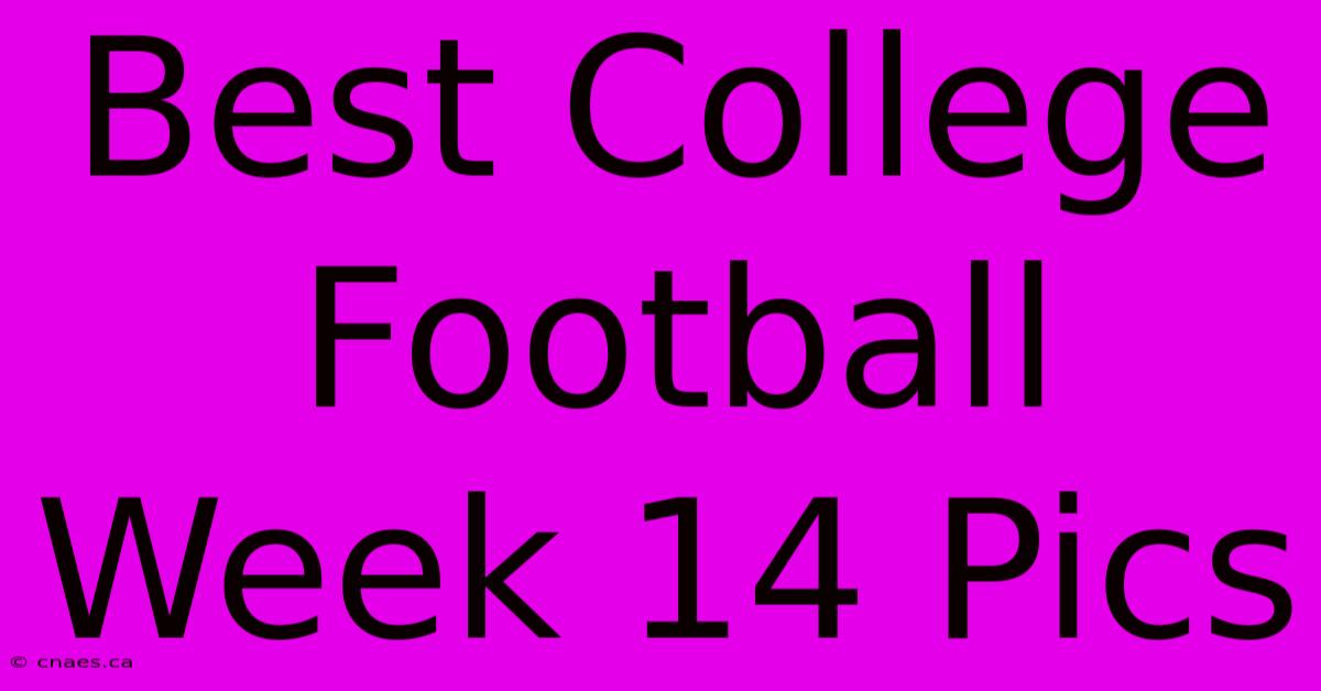 Best College Football Week 14 Pics