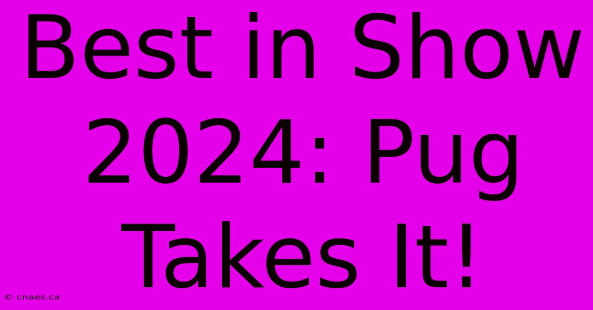 Best In Show 2024: Pug Takes It!