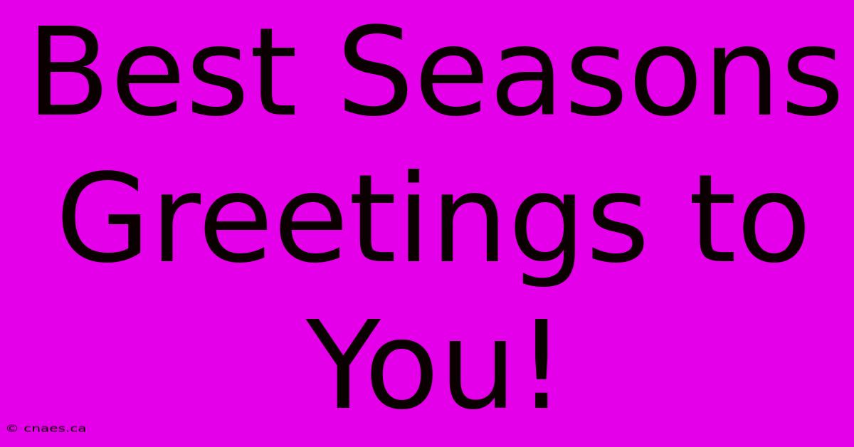 Best Seasons Greetings To You!