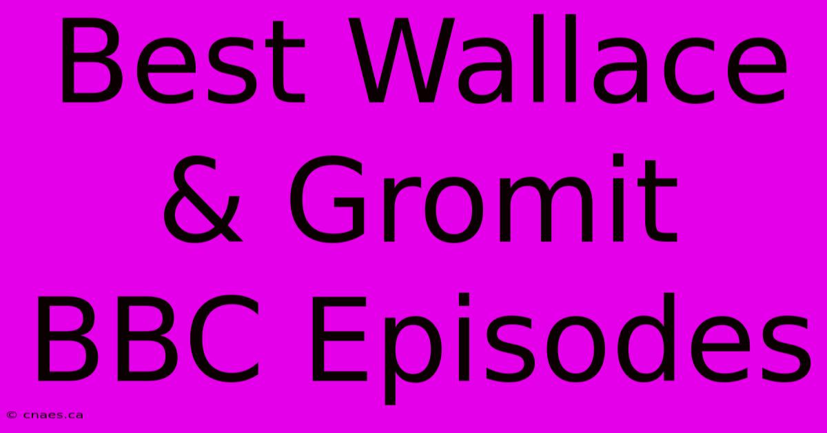 Best Wallace & Gromit BBC Episodes