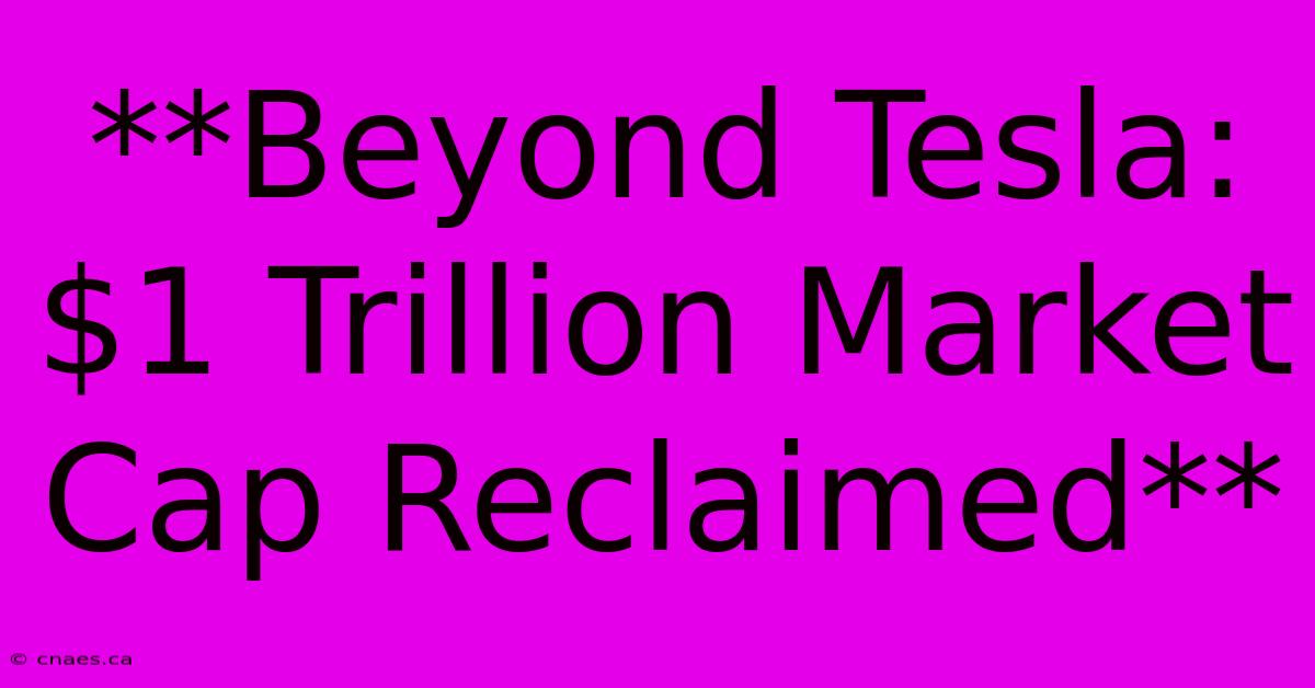 **Beyond Tesla:  $1 Trillion Market Cap Reclaimed**