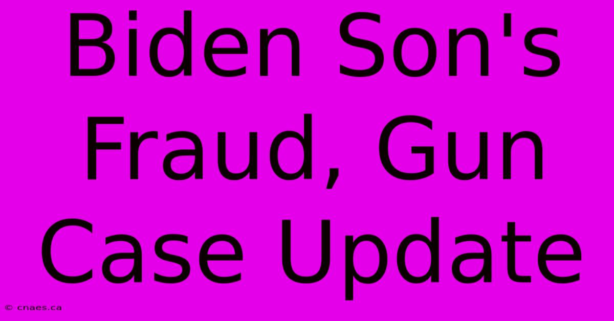 Biden Son's Fraud, Gun Case Update