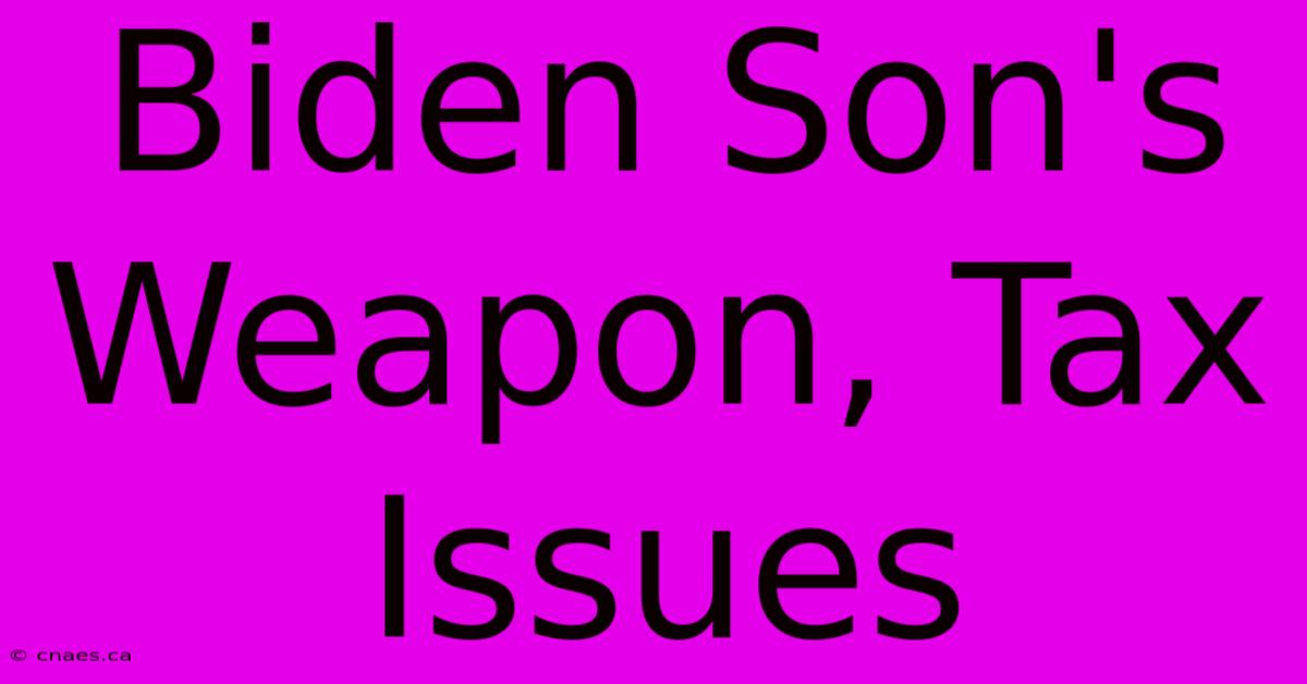 Biden Son's Weapon, Tax Issues