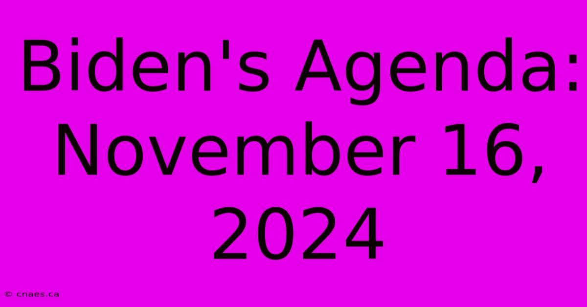 Biden's Agenda: November 16, 2024