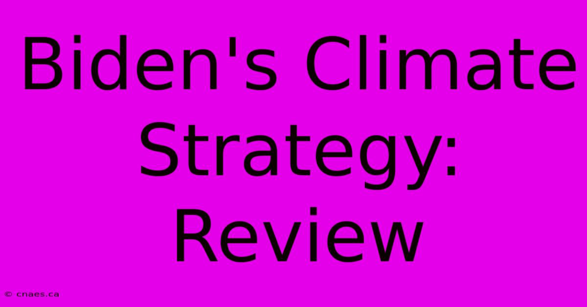 Biden's Climate Strategy: Review