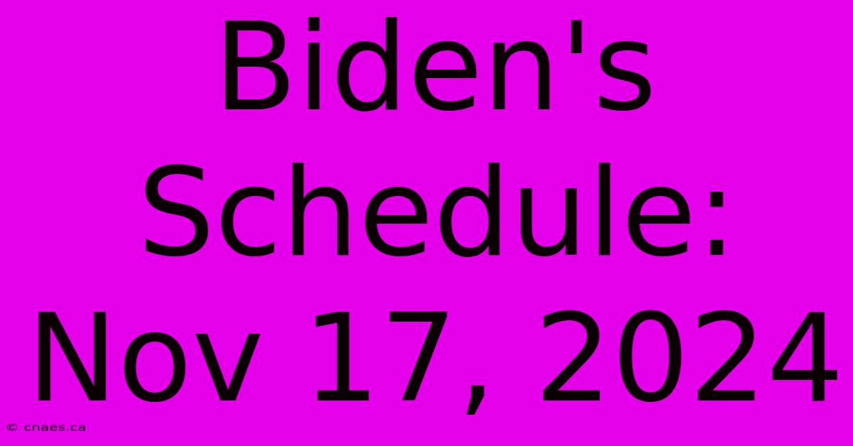 Biden's Schedule: Nov 17, 2024