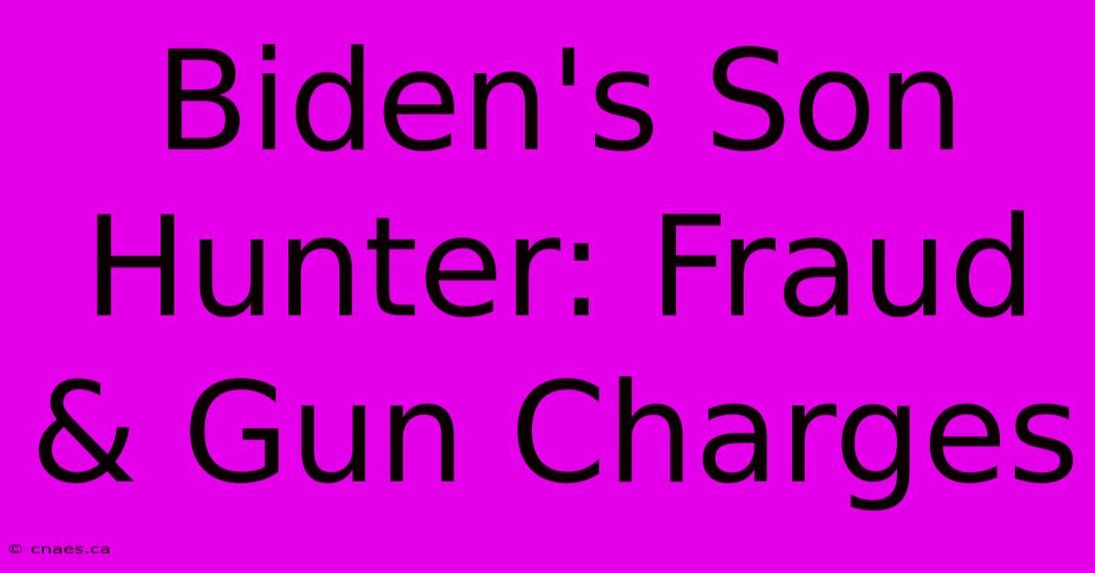 Biden's Son Hunter: Fraud & Gun Charges