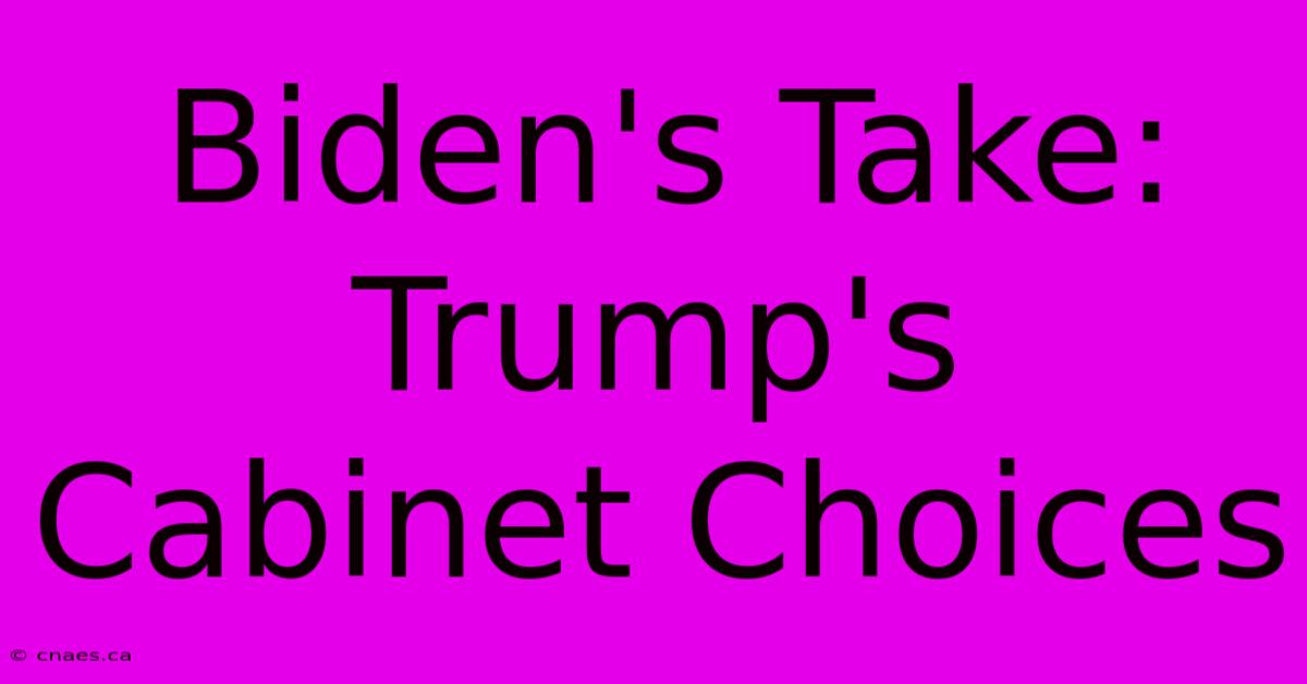 Biden's Take: Trump's Cabinet Choices