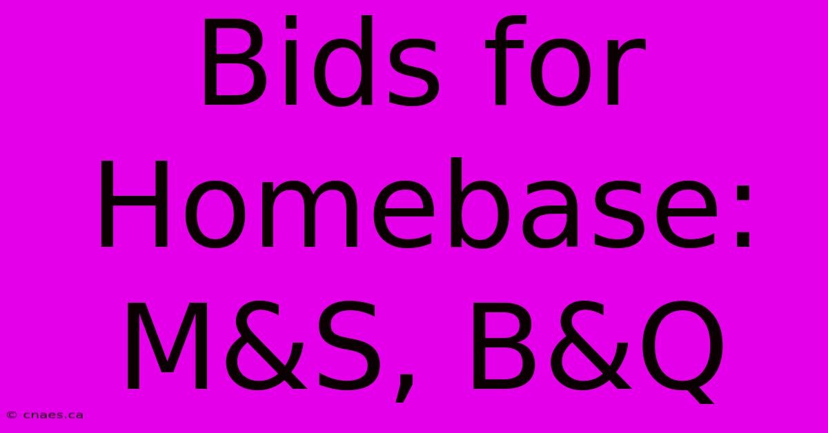 Bids For Homebase: M&S, B&Q