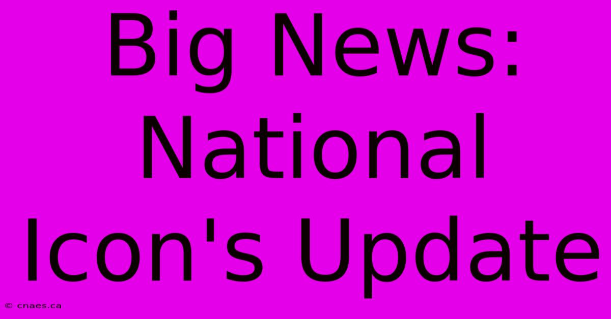 Big News: National Icon's Update