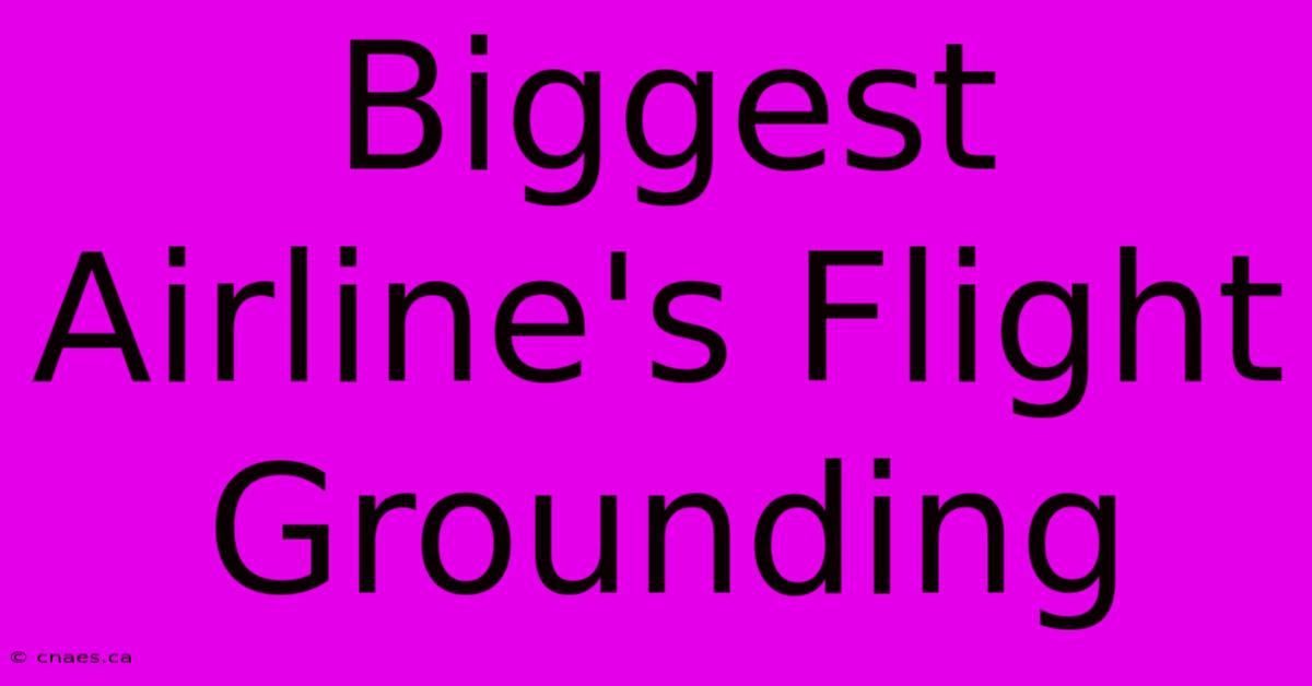 Biggest Airline's Flight Grounding