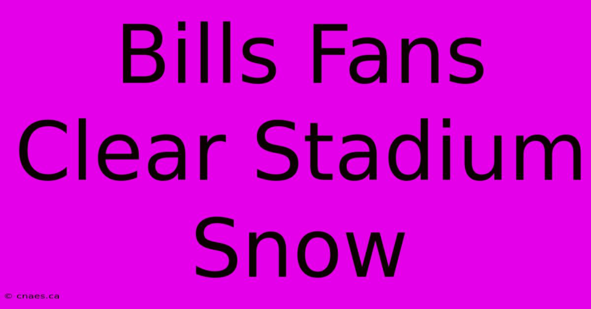 Bills Fans Clear Stadium Snow