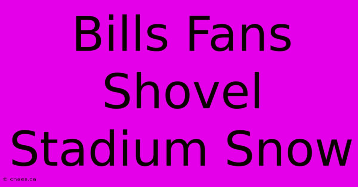 Bills Fans Shovel Stadium Snow