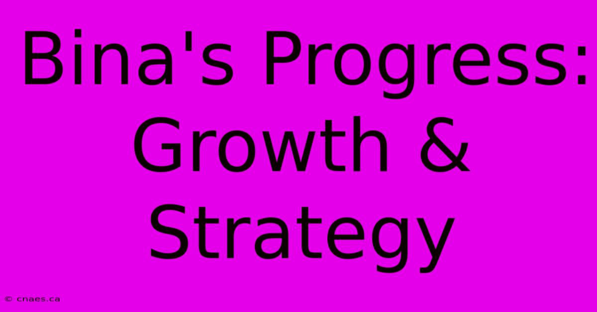 Bina's Progress: Growth & Strategy