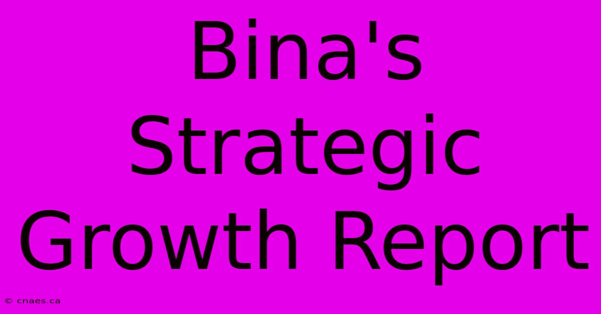 Bina's Strategic Growth Report