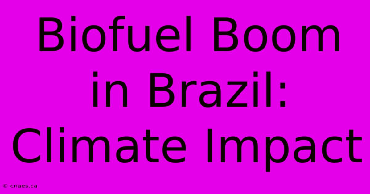 Biofuel Boom In Brazil: Climate Impact