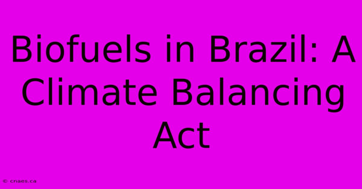 Biofuels In Brazil: A Climate Balancing Act