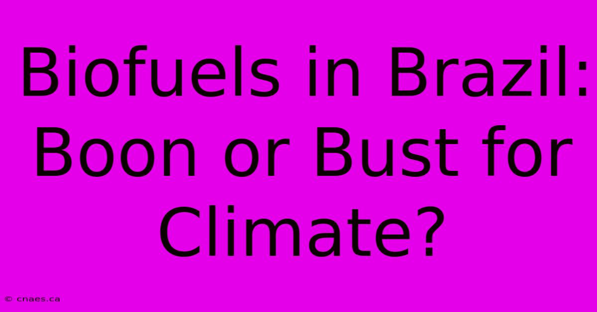 Biofuels In Brazil: Boon Or Bust For Climate?