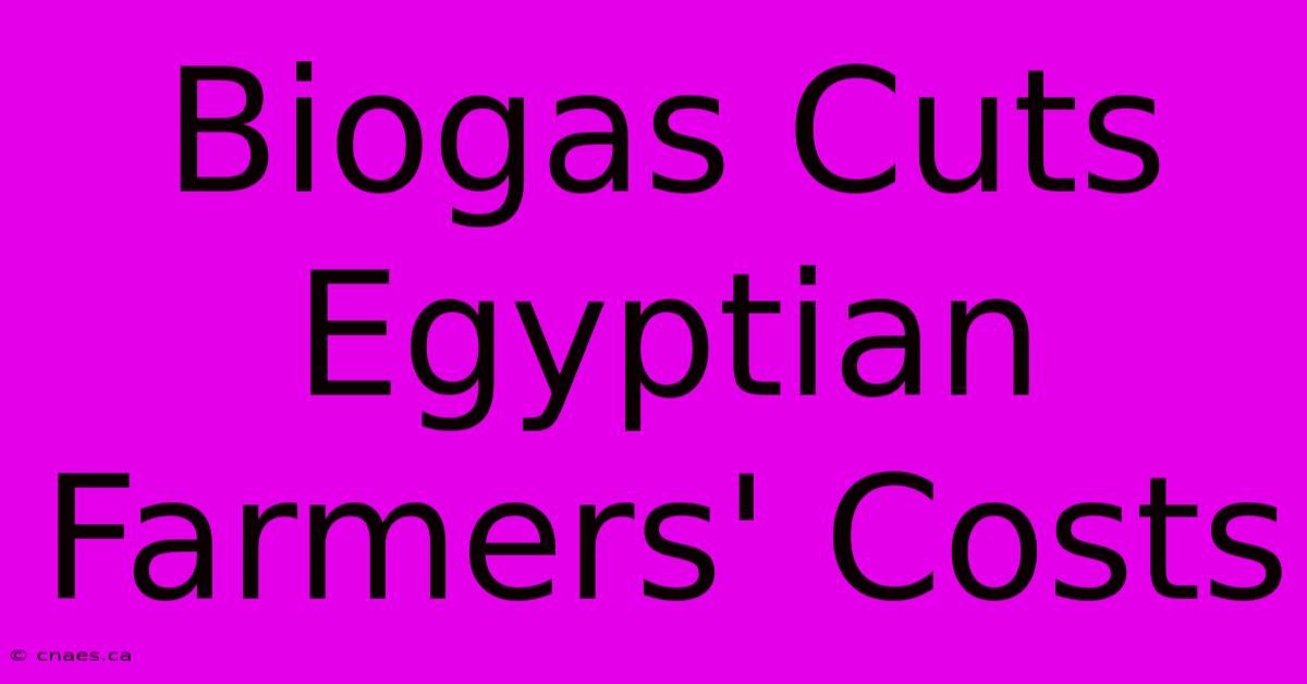 Biogas Cuts Egyptian Farmers' Costs