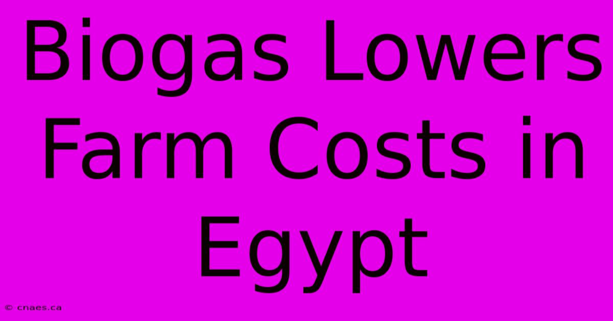 Biogas Lowers Farm Costs In Egypt