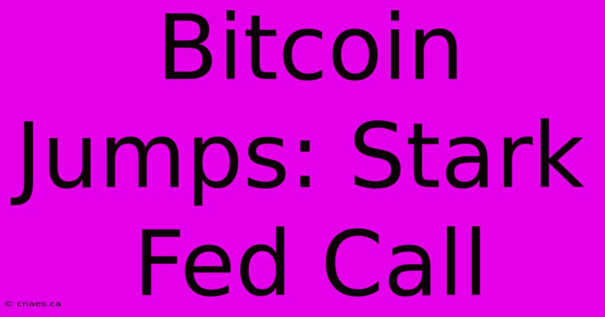 Bitcoin Jumps: Stark Fed Call