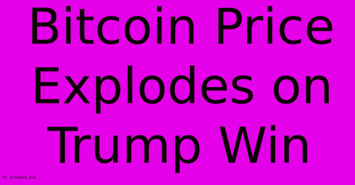 Bitcoin Price Explodes On Trump Win 