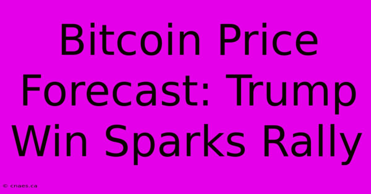 Bitcoin Price Forecast: Trump Win Sparks Rally