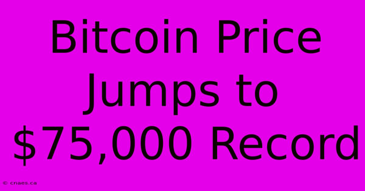 Bitcoin Price Jumps To $75,000 Record 