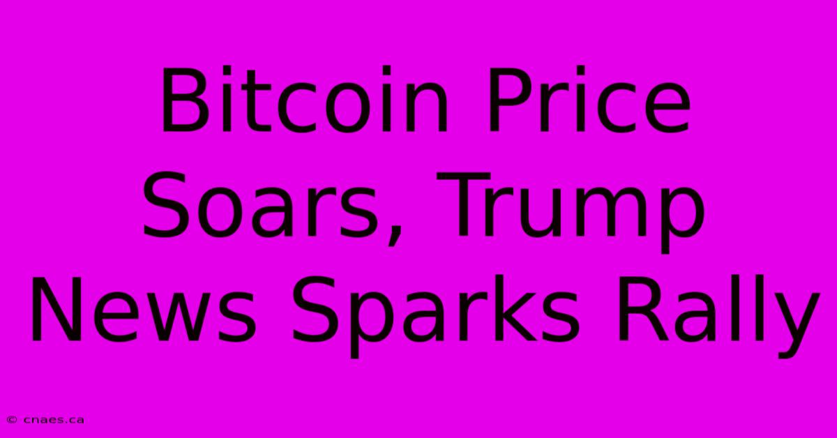 Bitcoin Price Soars, Trump News Sparks Rally