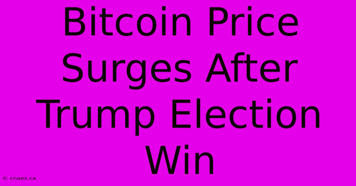 Bitcoin Price Surges After Trump Election Win