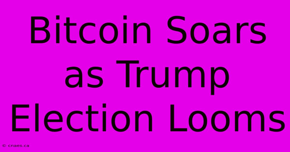 Bitcoin Soars As Trump Election Looms