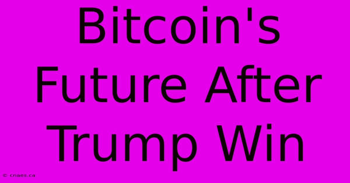 Bitcoin's Future After Trump Win 