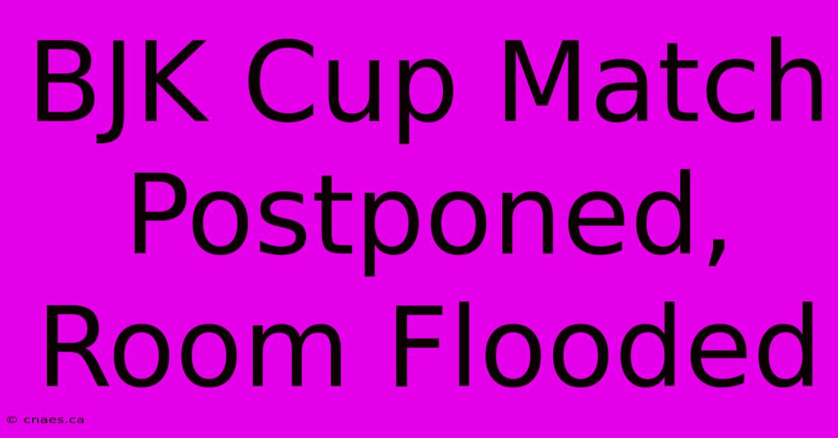 BJK Cup Match Postponed, Room Flooded