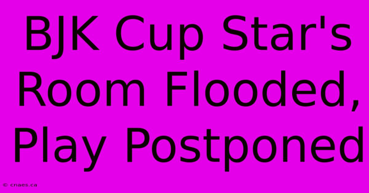 BJK Cup Star's Room Flooded, Play Postponed