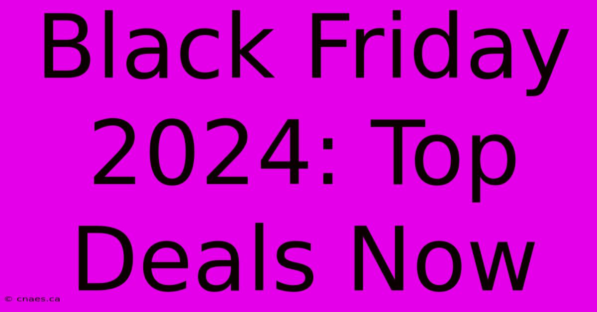 Black Friday 2024: Top Deals Now