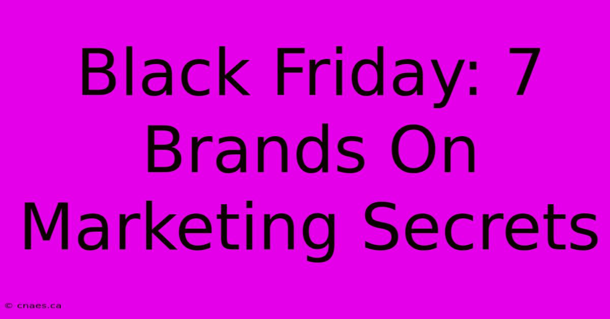 Black Friday: 7 Brands On Marketing Secrets