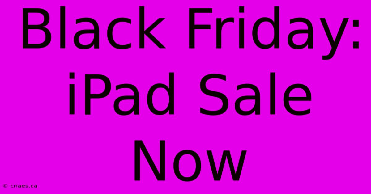 Black Friday: IPad Sale Now