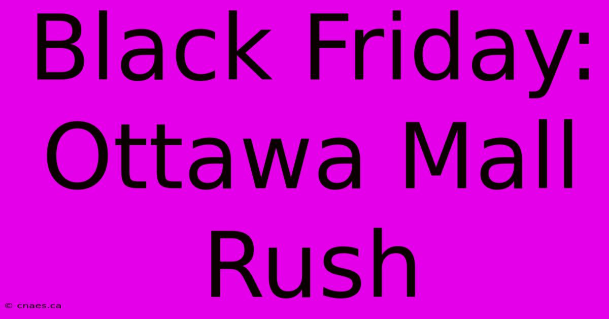 Black Friday: Ottawa Mall Rush