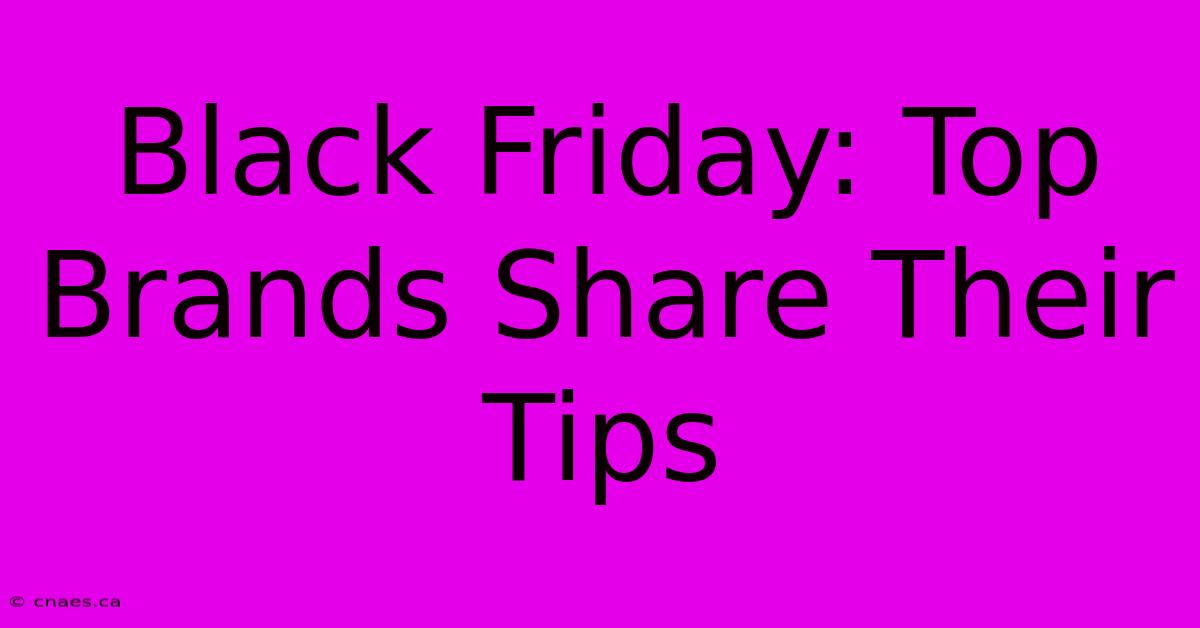 Black Friday: Top Brands Share Their Tips