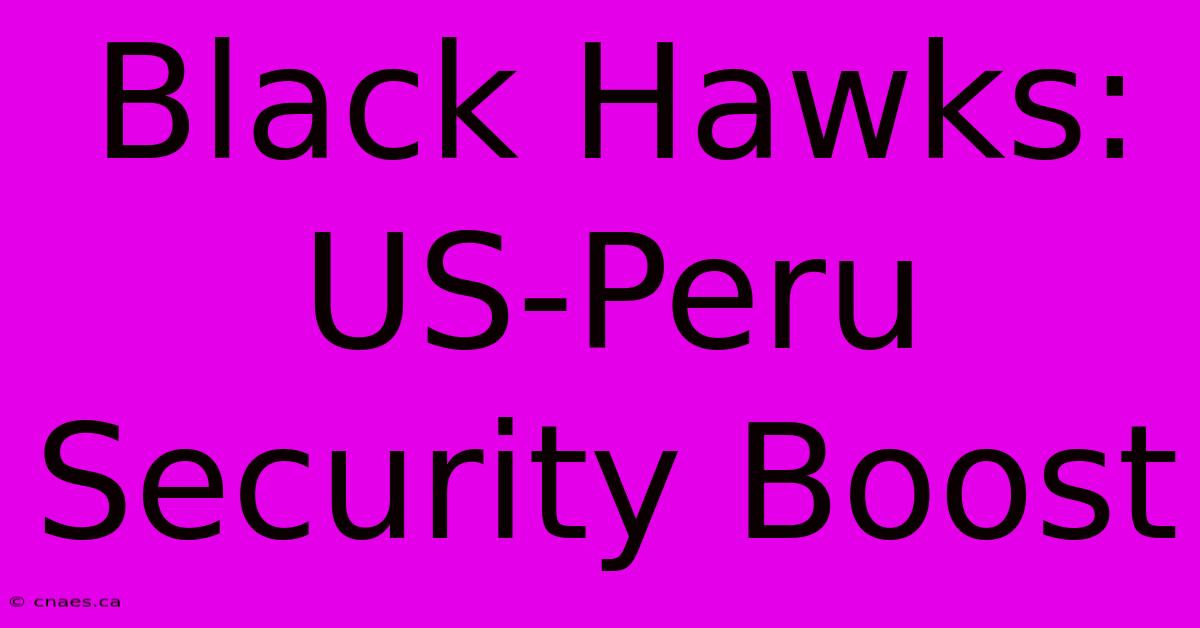 Black Hawks: US-Peru Security Boost