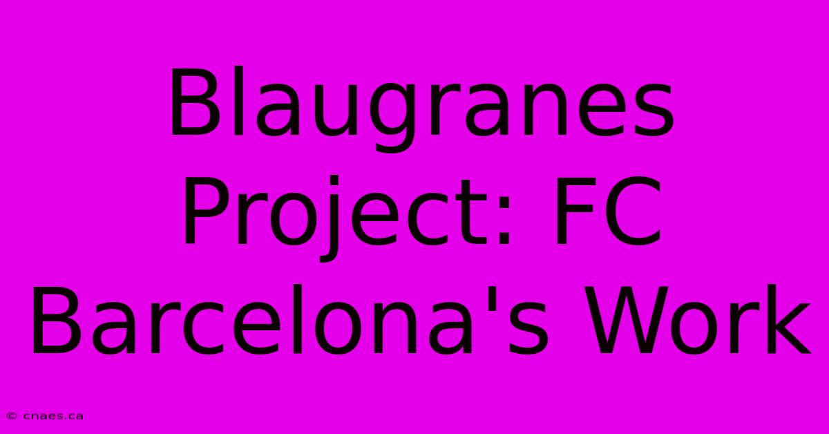 Blaugranes Project: FC Barcelona's Work