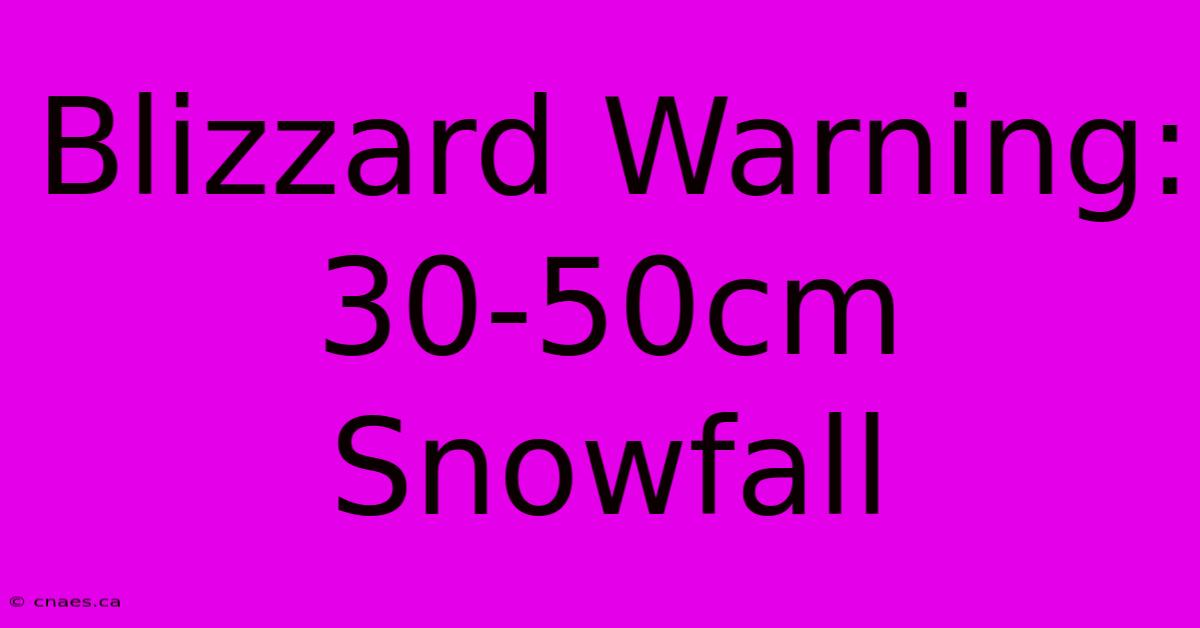 Blizzard Warning: 30-50cm Snowfall