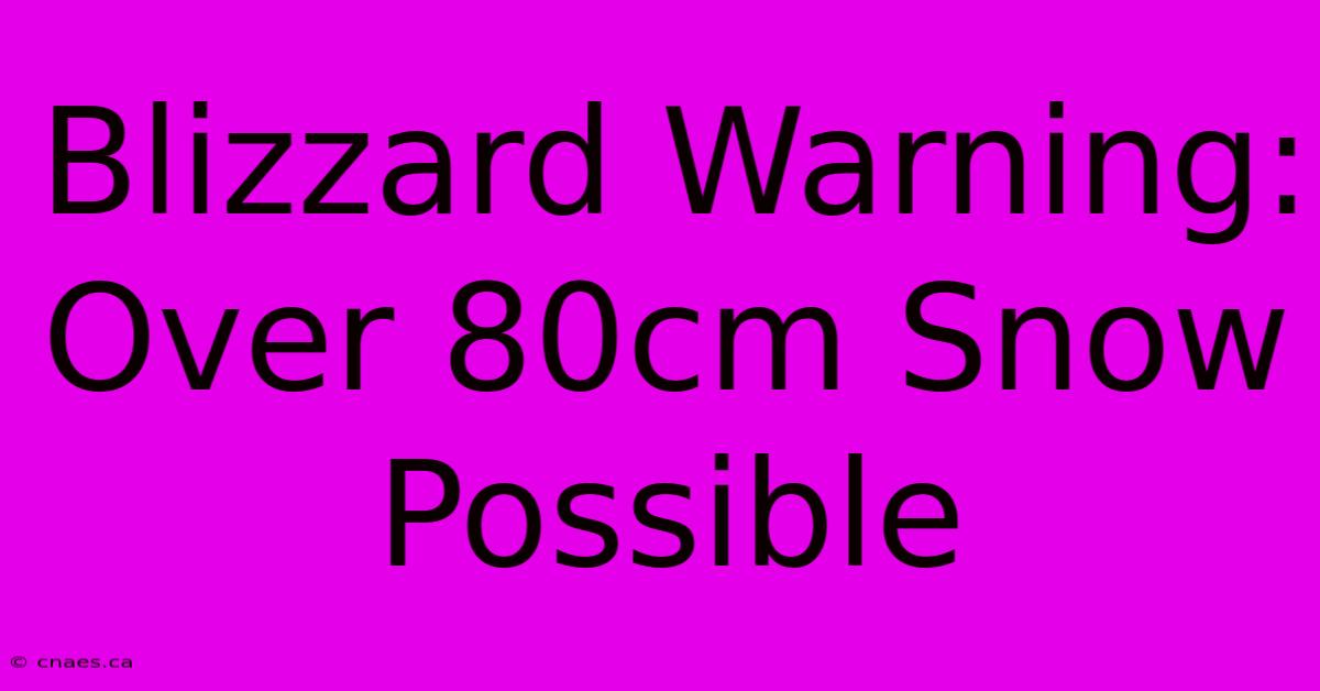 Blizzard Warning: Over 80cm Snow Possible