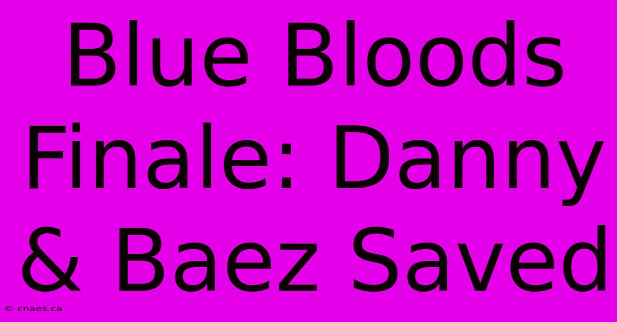 Blue Bloods Finale: Danny & Baez Saved