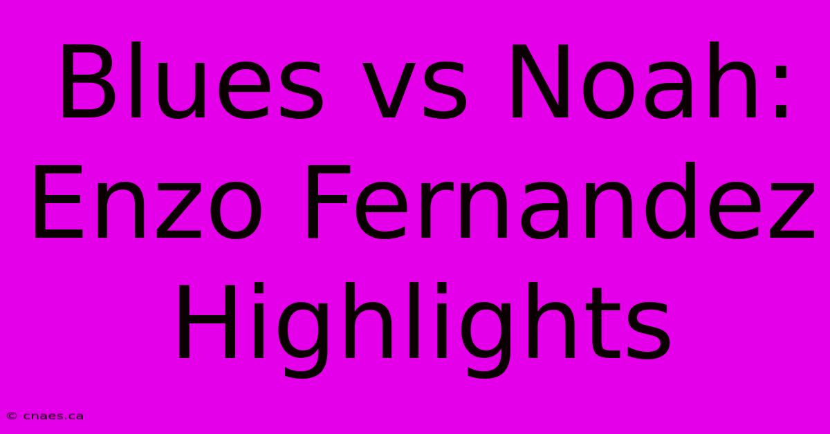 Blues Vs Noah: Enzo Fernandez Highlights